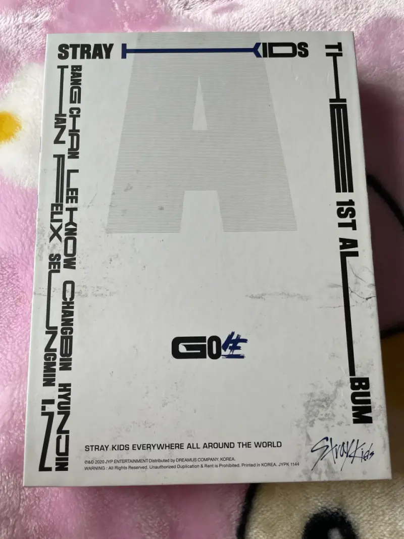 Álbum Stray Kids Go Live Abierto - 1