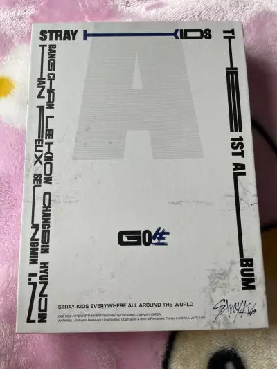 Álbum Stray Kids Go Live Abierto - miniatura 1