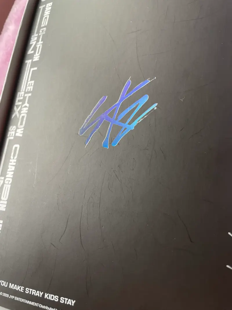Álbum Stray Kids Go Live Abierto - 5