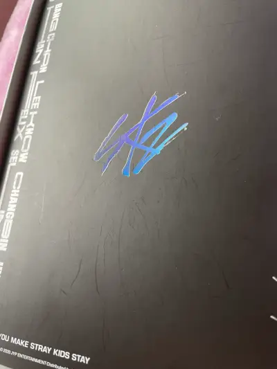 Álbum Stray Kids Go Live Abierto - miniatura 5
