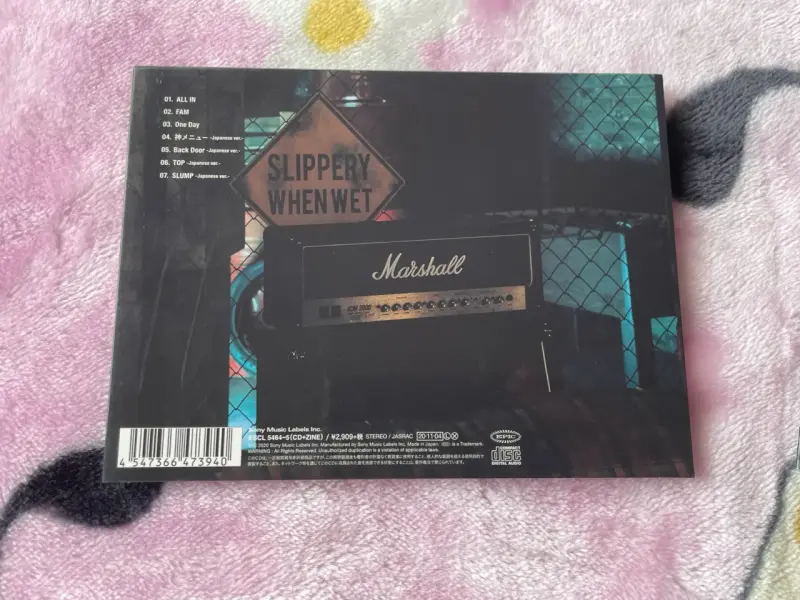 Álbum Stray Kids ALL IN Version C Abierto - 2
