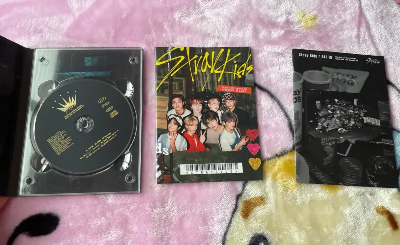 Álbum Stray Kids ALL IN Version C Abierto - 3