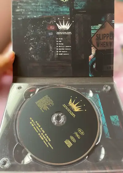 Álbum Stray Kids ALL IN Version C Abierto - miniatura 4