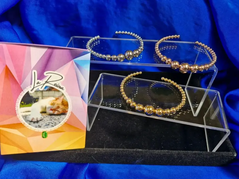 La reina joyas - 6