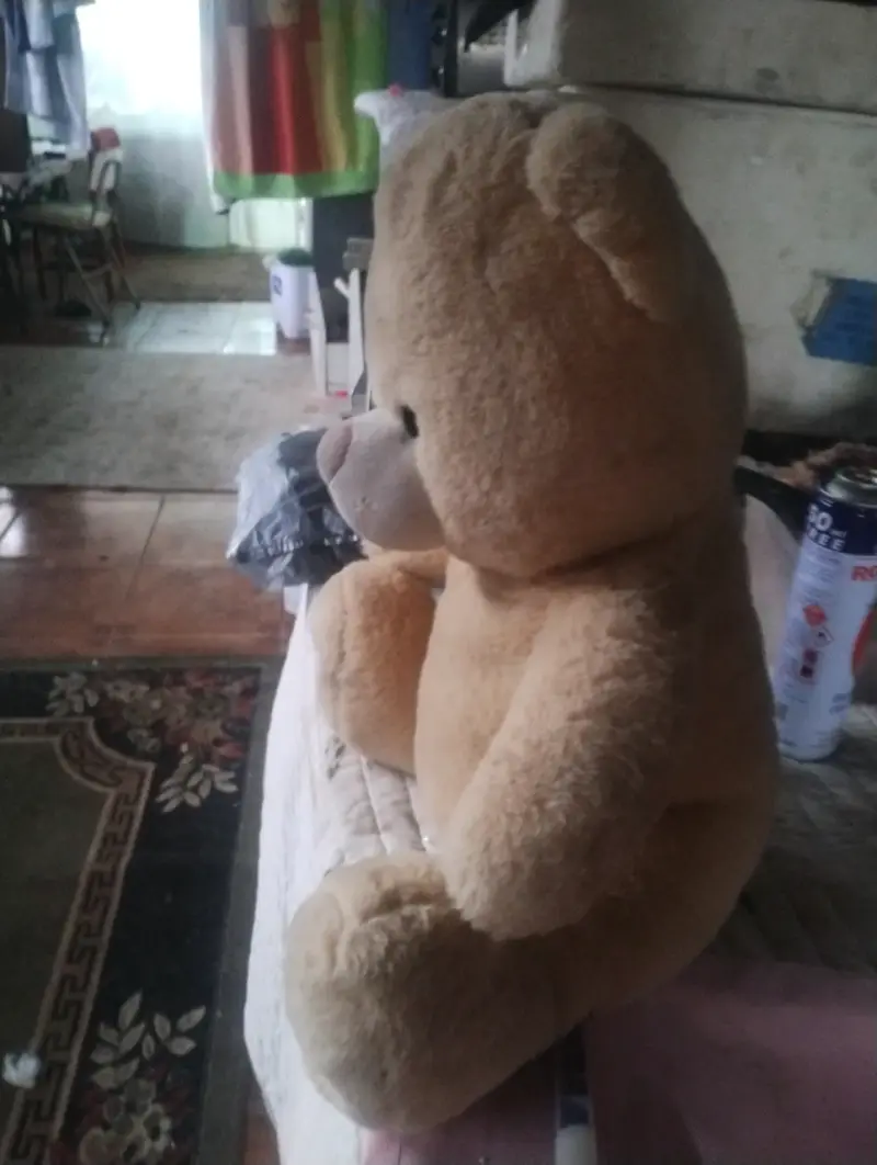 Osito de peluche beige - 2