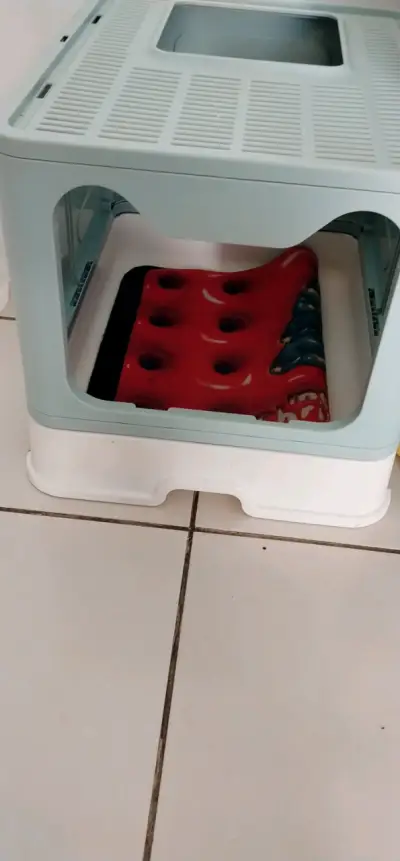 Arenero de gato - miniatura 1