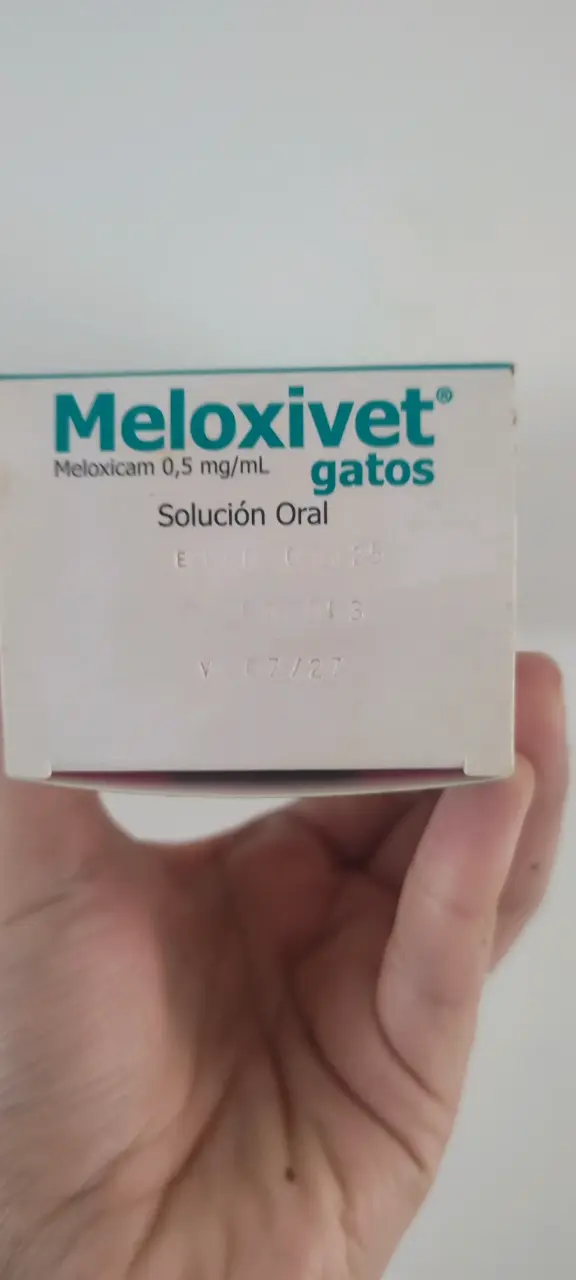 Meloxivet gatos 20 mL nuevo - 2