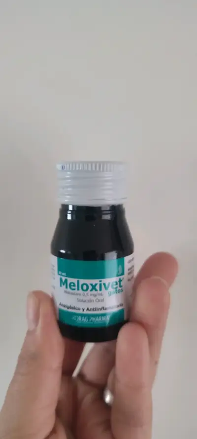 Meloxivet gatos 20 mL nuevo - miniatura 3