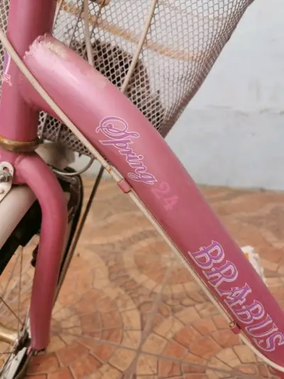 Bicicleta urbana rosada con canasto - miniatura 2