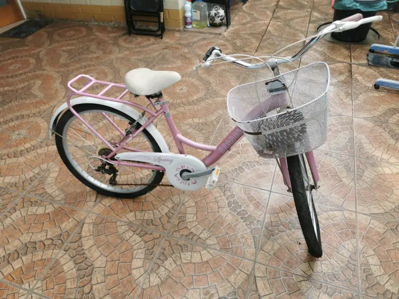 Bicicleta urbana rosada con canasto - 4