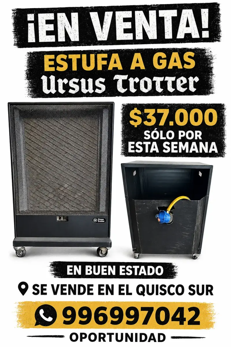 Estufa a gas Ursus Trotter - 1