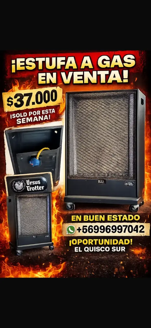 Estufa a gas Ursus Trotter - 2