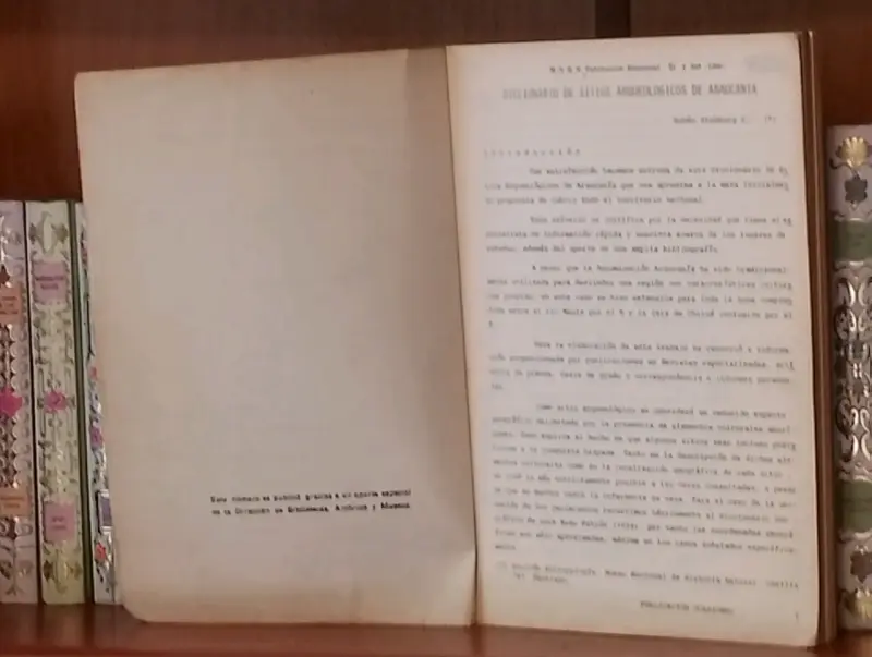 Diccionario De Sitios Arqueológicos De Araucanía - 2