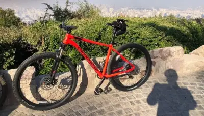 Bicicleta CANNONDALE TRAIL 29 – MTB HARDTAIL - miniatura 1