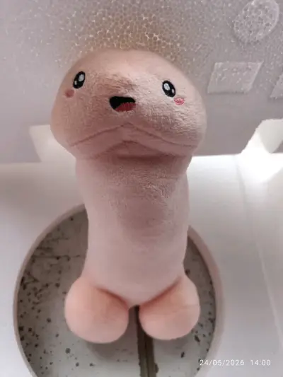 Peluche con cara sonriente - miniatura 2