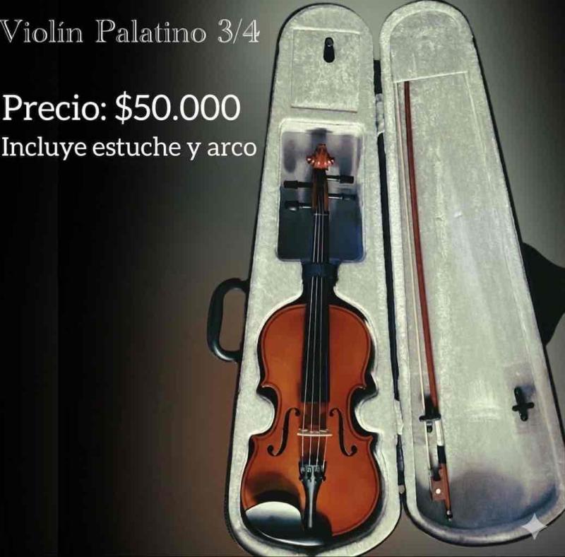 Violín Palatino 3/4 con estuche