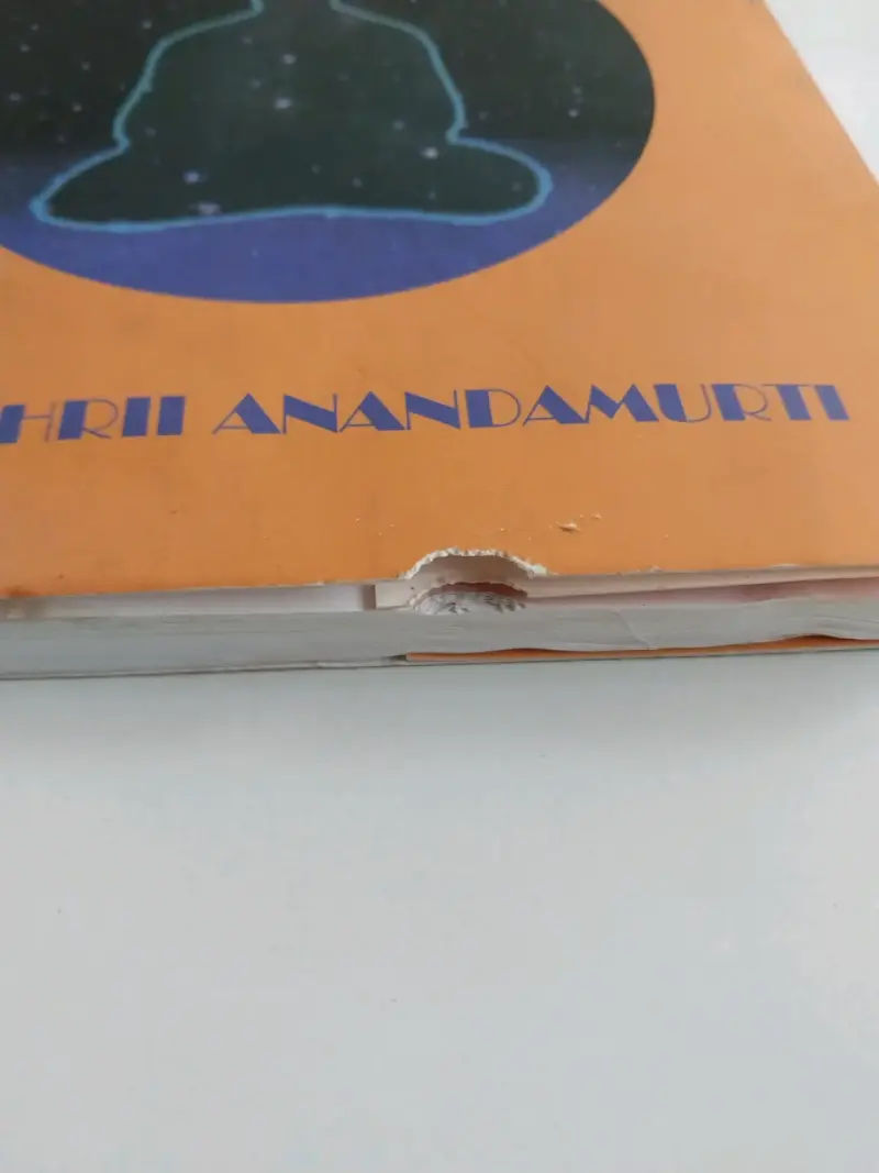 Libro Psicología del Yoga - 2