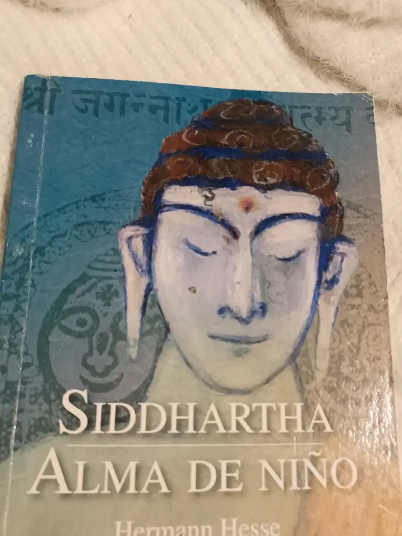 Libro Siddhartha Alma de Niño - 1