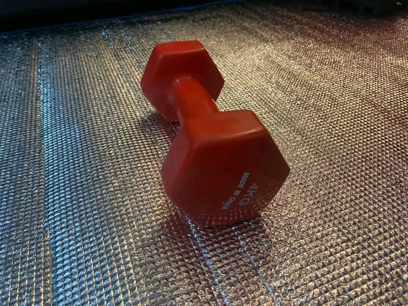 Mancuerna roja 4 kg - 1