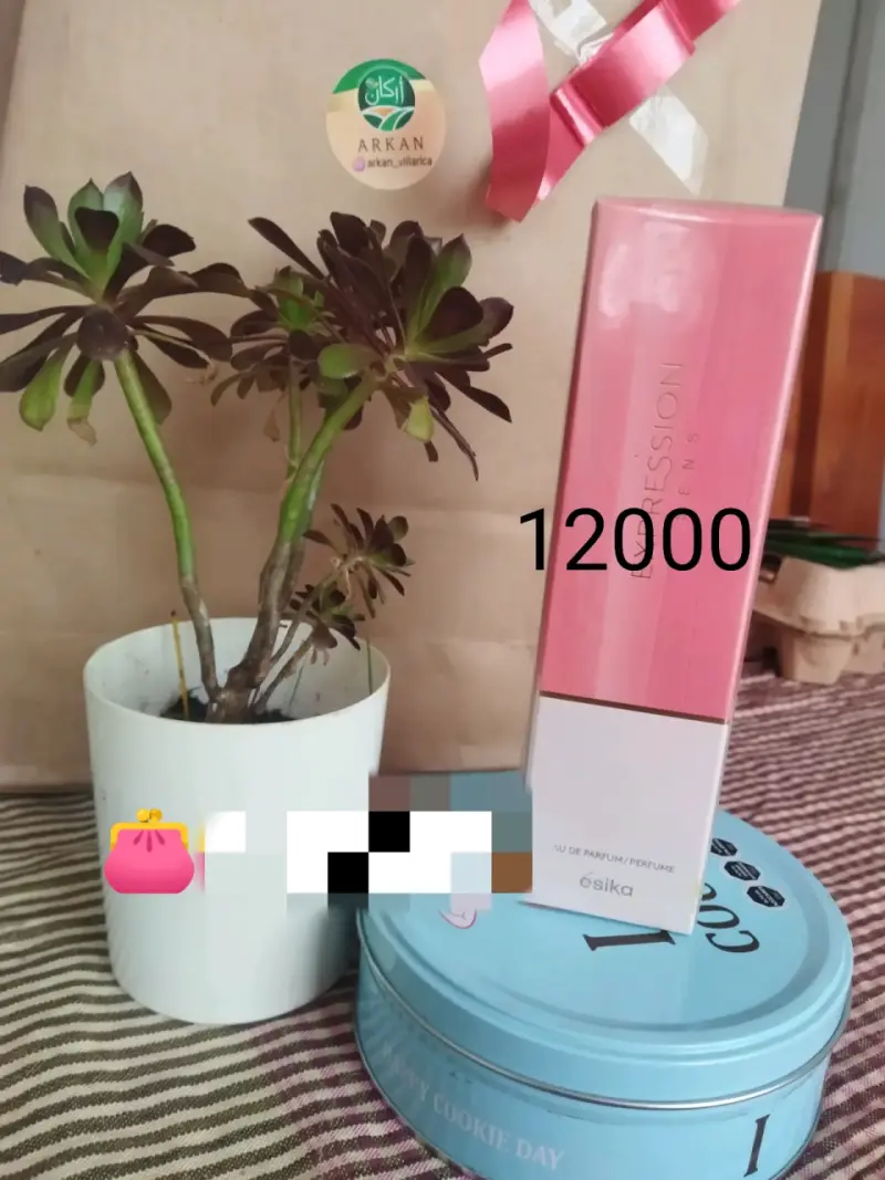 Perfume Expressión Pink - 1