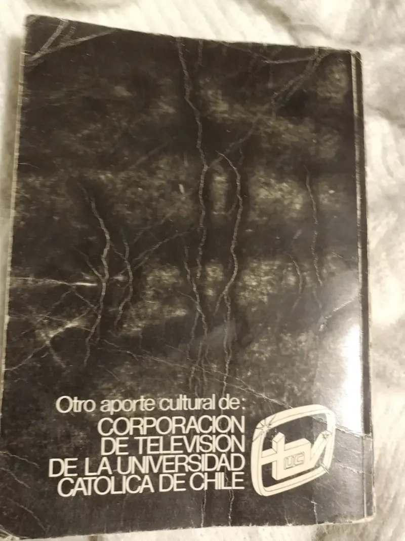 Libro El Loco Estero - Ercilla - 2