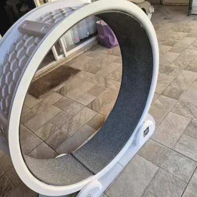 Rueda de ejercicio para gatos - miniatura 1