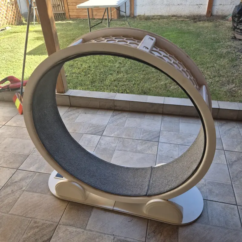Rueda de ejercicio para gatos - 5