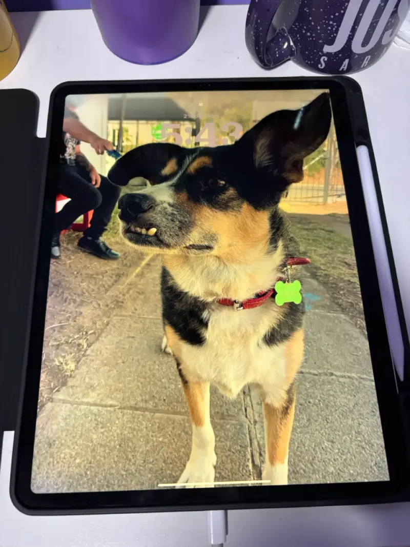 iPad pro 3era gen - 3