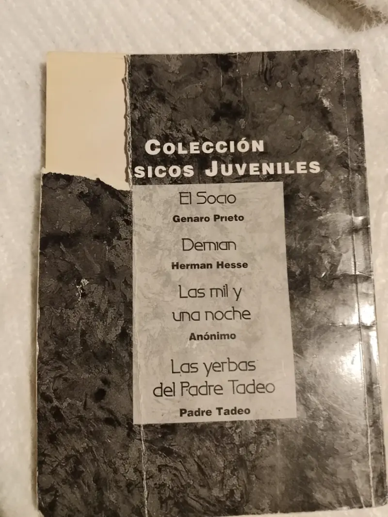 Libro 'El niño que enloqueció de amor' - 2