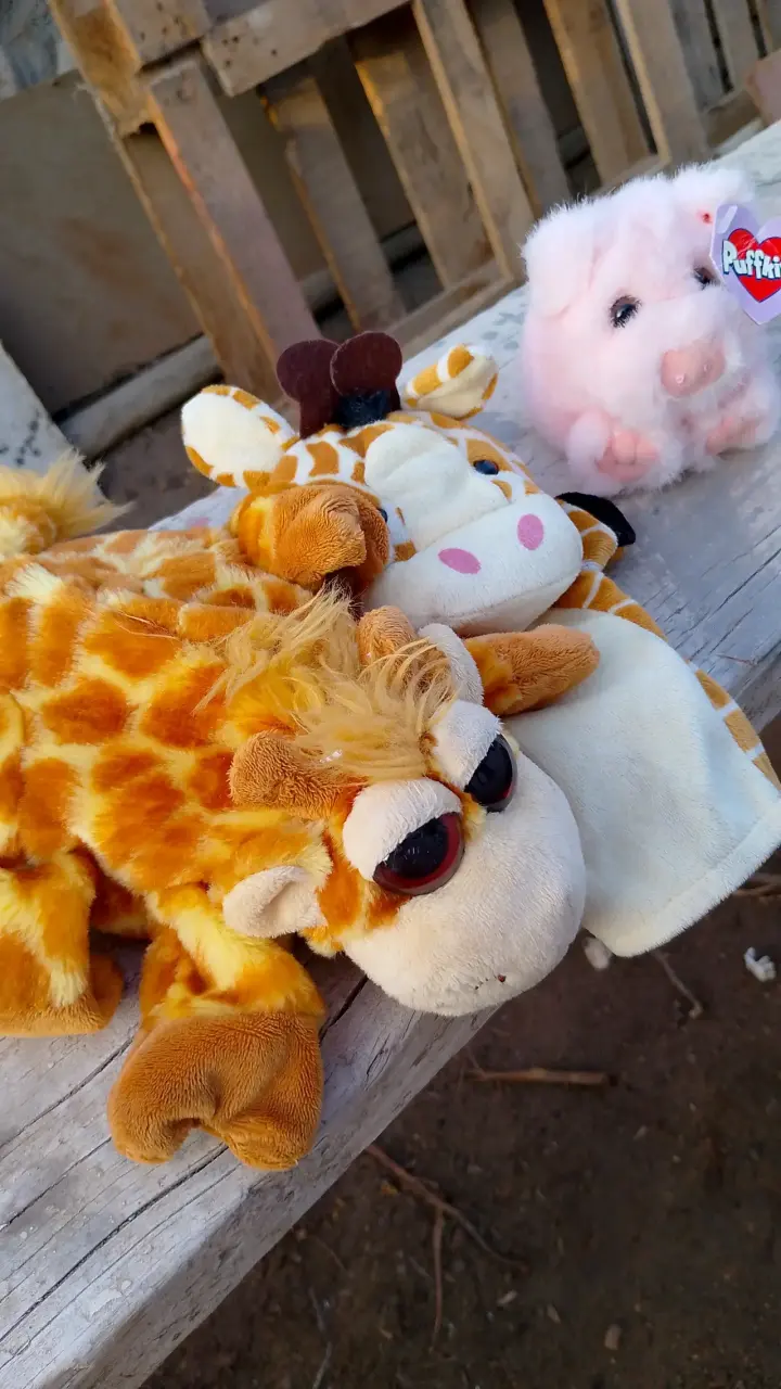 Peluche de jirafa y cerdito