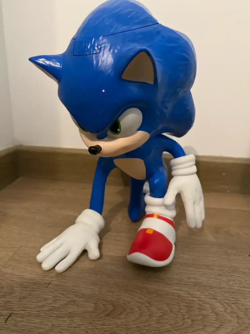 Palomera Sonic - 2
