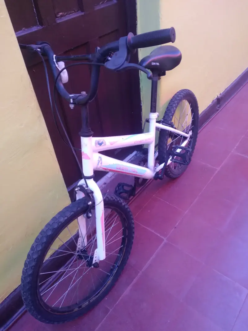 Bicicleta - 1