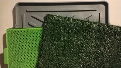 Bandeja de entrenamiento Potty Patch - miniatura 3