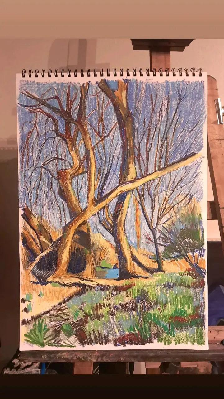 Dibujos a pedido
