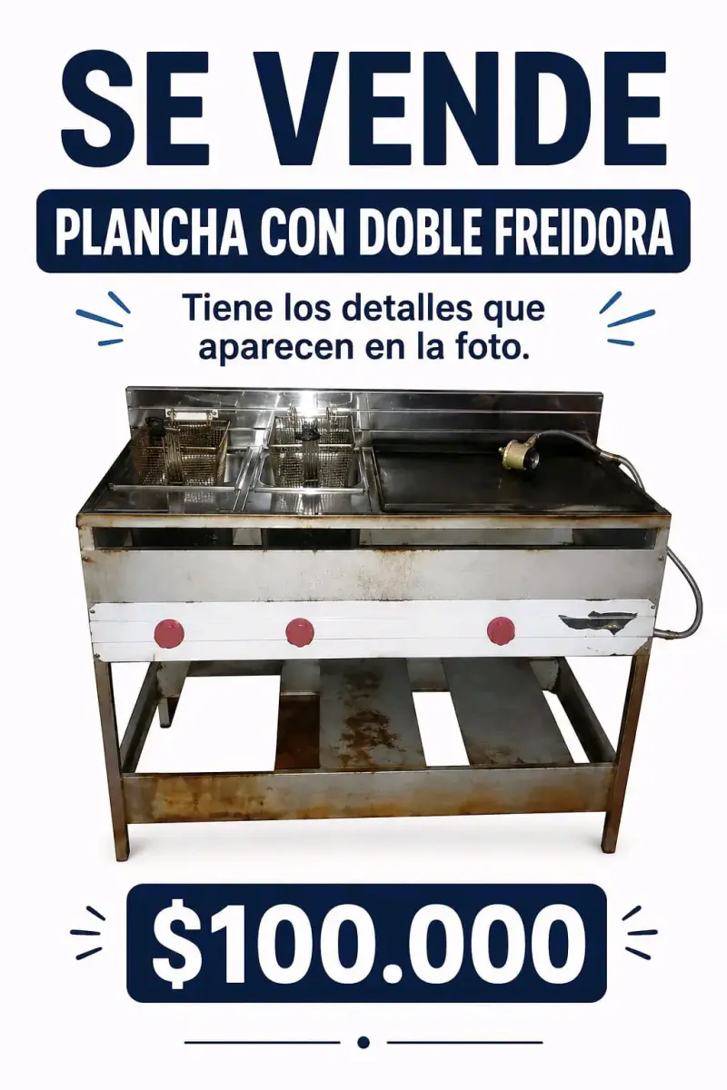 Plancha con doble freidora
