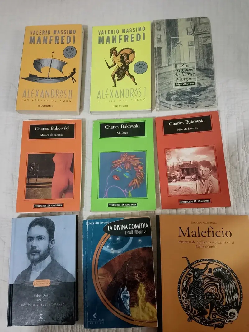 Lote de libros de autores clásicos