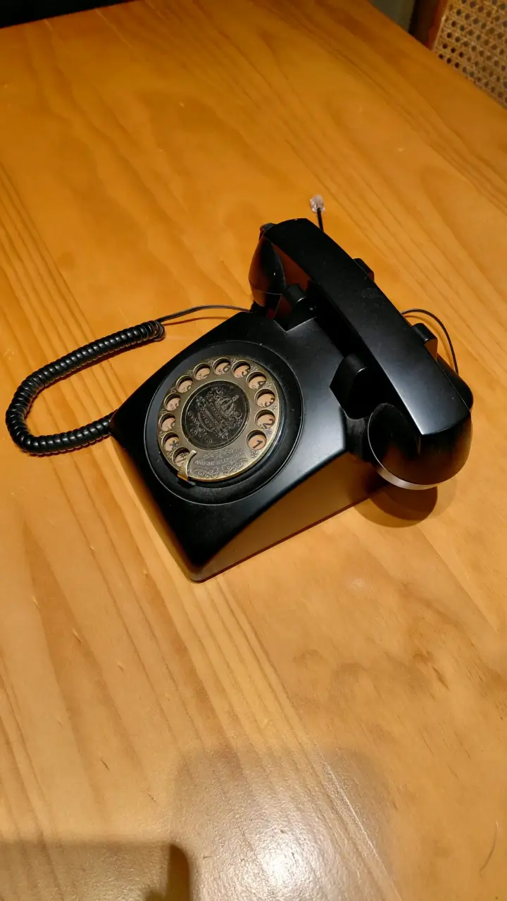 Teléfono retro de disco negro - 2