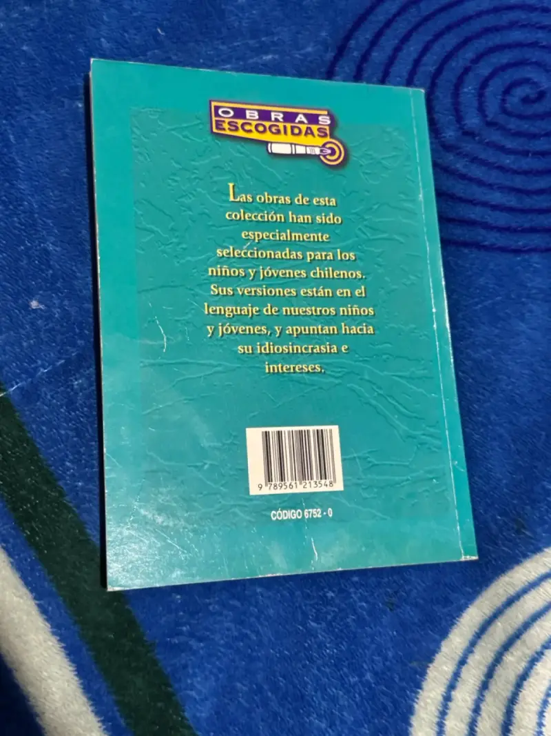 Libro Dos años de vacaciones - 2