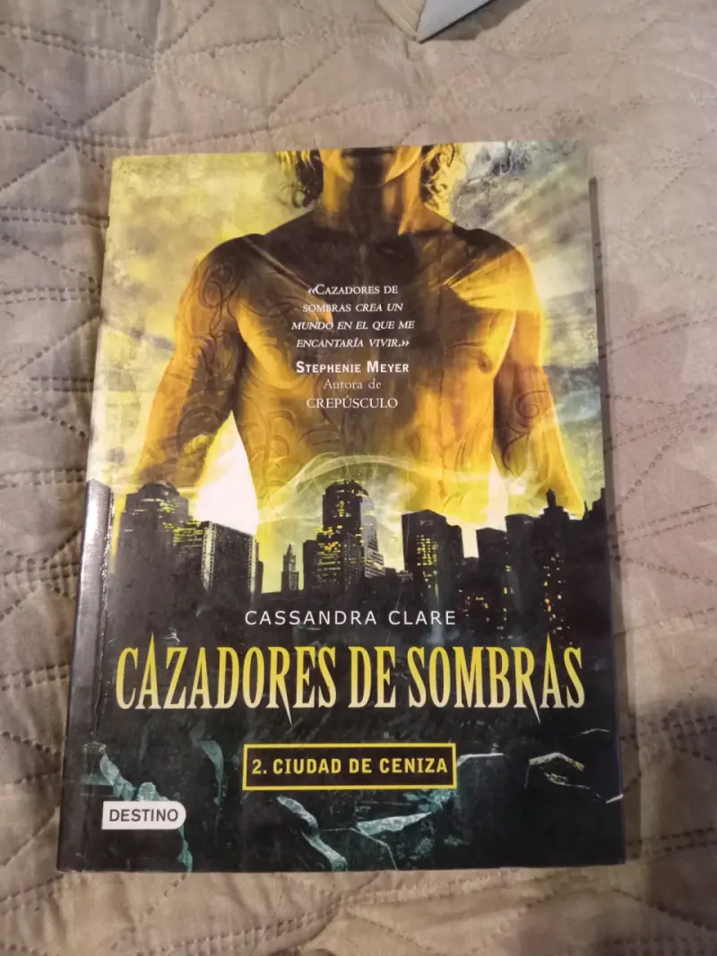 Libro Cazadores de Sombras - Ciudad de Ceniza - 1