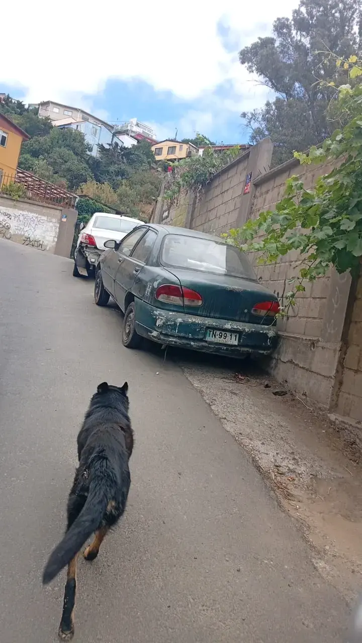 Auto compacto verde usado - 2