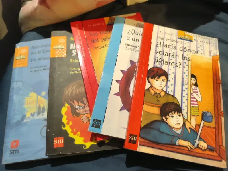 Lote de libros juveniles SM - 1