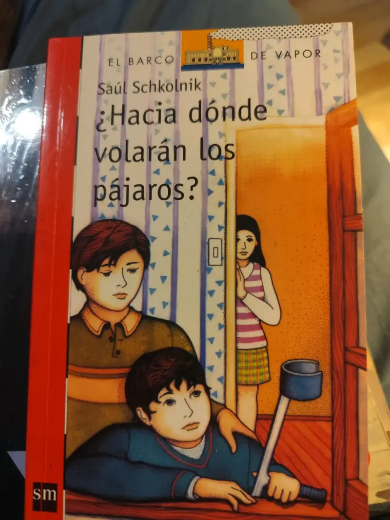 Lote de libros juveniles SM - 2