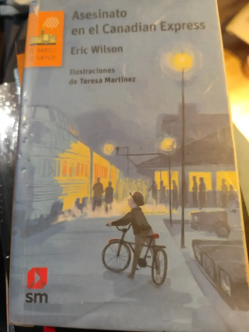 Lote de libros juveniles SM - 6