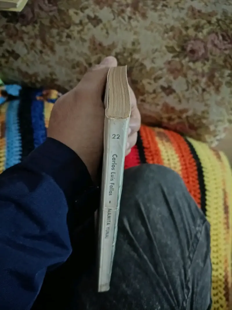 Libro 'Mamita Yunai' de Carlos Luis Fallas - 2