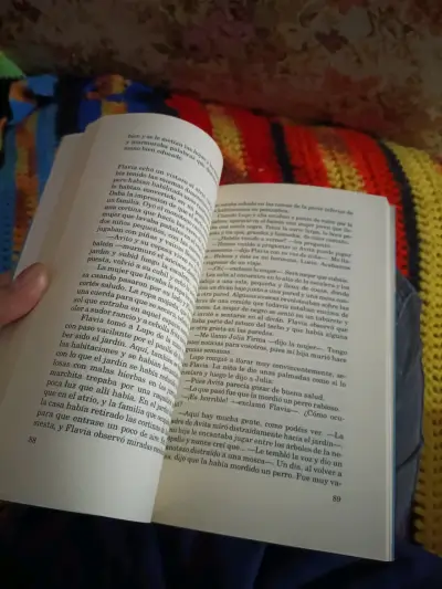 Libro Ladrones en el Foro - miniatura 3