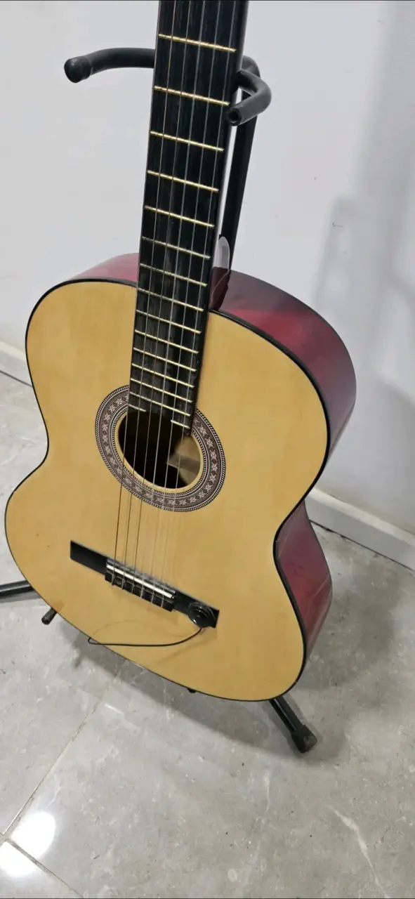 Guitarra acústica Alaguez - 1