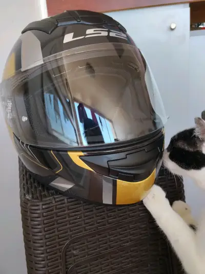 Casco integral LS2 negro y dorado - miniatura 5