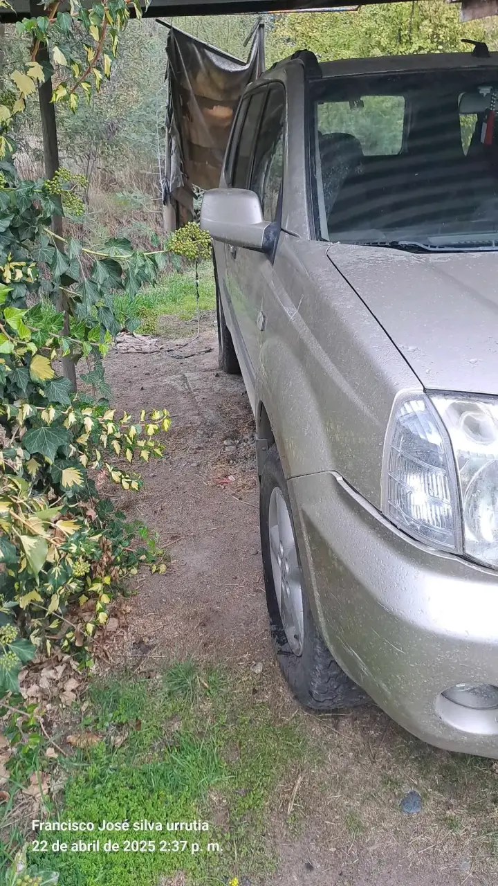 Camioneta SUV X-Trail plata - 5