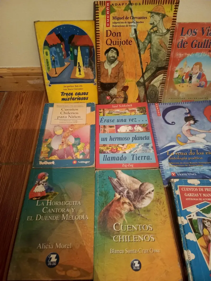 Lote de libros infantiles variados - 2