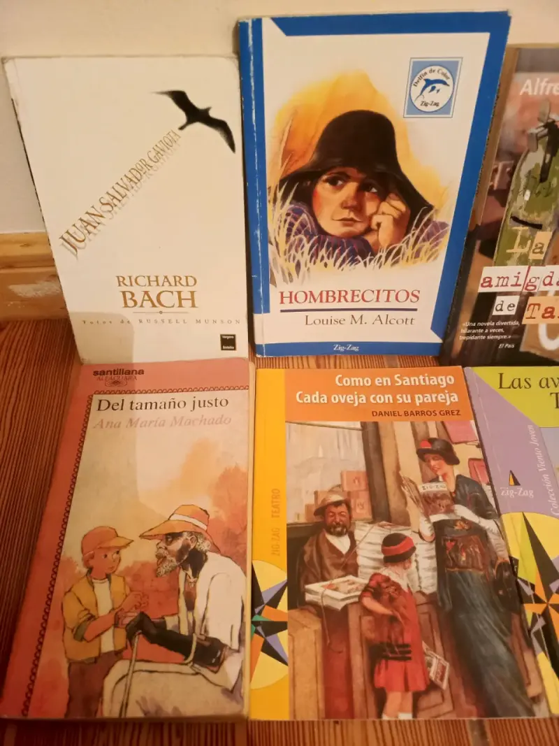 Lote de libros variados - 2
